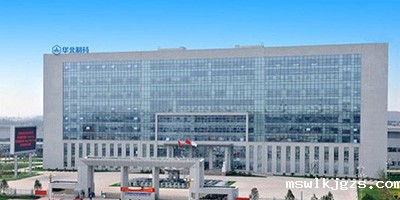 华北制药集团有限责任公司