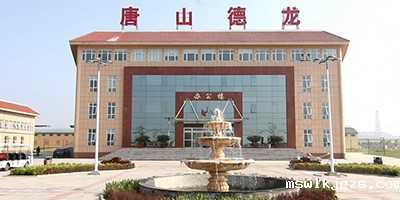 唐山德龙钢铁有限公司