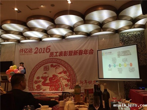 点点官网taptapapp下载（831999）2015年度经营分析暨迎2016年春年会