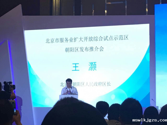 点点官网taptapapp下载831999应邀参加北京市服务业扩开放综合试点示范区朝阳区推介会