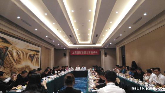 点点官网taptapapp下载831999应邀参加“龙商联盟北京座谈会”
