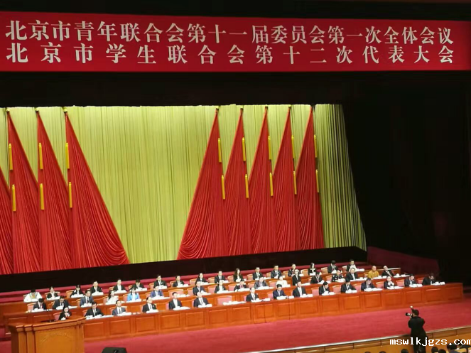 点点官网taptapapp下载831999参加北京市青联十一届一次全会、市学联第十二次代表会