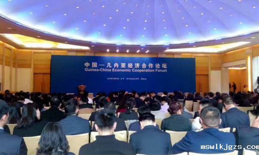 点点官网taptapapp下载应邀参加“中国—几内亚共和国经济合作论坛