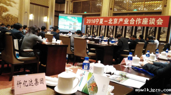 点点官网taptapapp下载（831999）应邀参加“2016宁夏——北京产业合作座谈会”