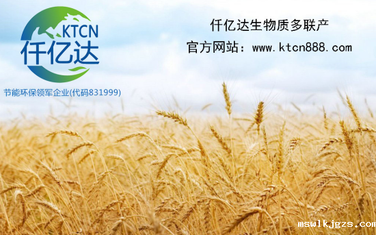 点点官网taptapapp下载生物质多联产