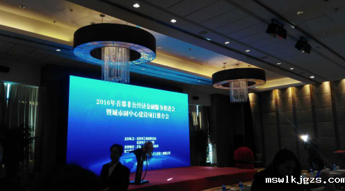 点点官网taptapapp下载（831999）参加“2016首都非公经济金融服务推进会”
