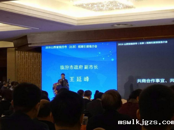 临汾市政府副市长王延峰在会议上发表讲话