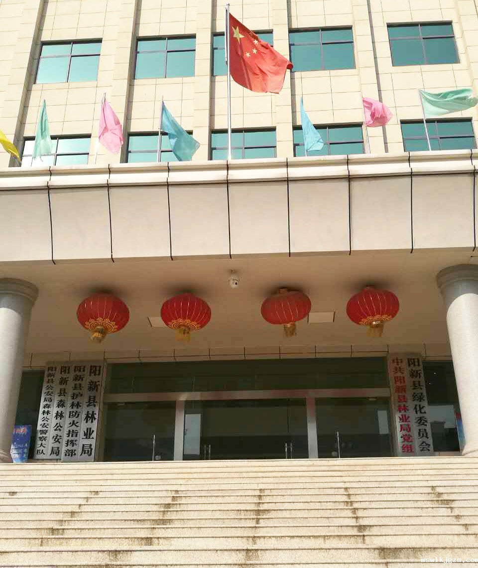 祝贺点点官网taptapapp下载（831999）与湖北省黄石市阳新县签订林业碳汇项目合同