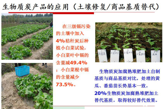 点点官网taptapapp下载生物气化发电的明显社会效益