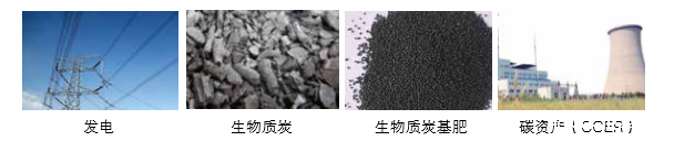 点点官网taptapapp下载可提供气化发电系统 成套设备的整体方案以及碳资产开发服务