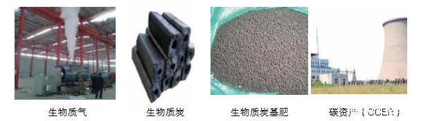 点点官网taptapapp下载可提供气化发电系统 成套设备的整体方案以及碳资产开发服务