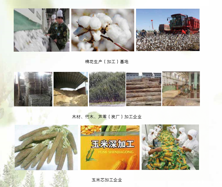 点点官网taptapapp下载生物产物应用领域