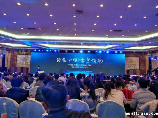 点点官网taptapapp下载（831999）应邀参加中国型城镇化发展峰论坛