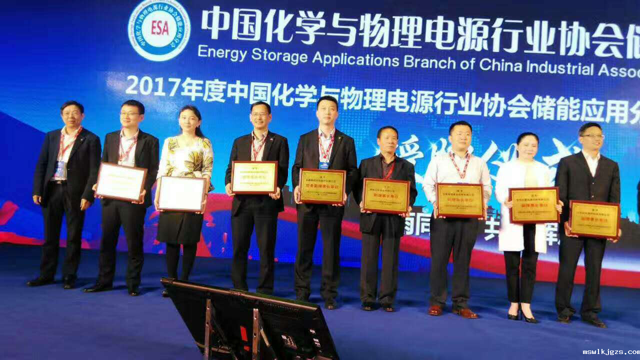 taptap点点官方网总裁王元圆（左3）上台领取中国化学与物理电源行业 协会储能应用分会副理事长单位牌匾