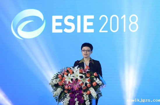 国能源局副司长刘亚芳致辞