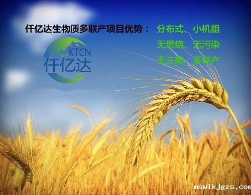 点点官网taptapapp下载生物质多联产介绍（2）