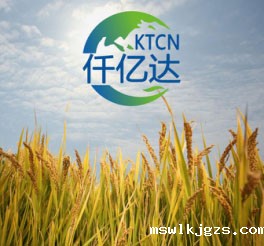 生物质多联产2