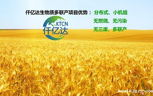 生物质多联产3